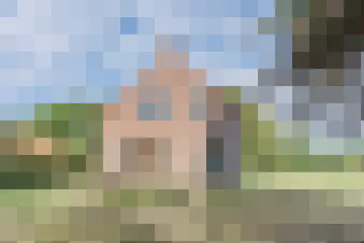Papenstraat 17 Epe thumbnail 6