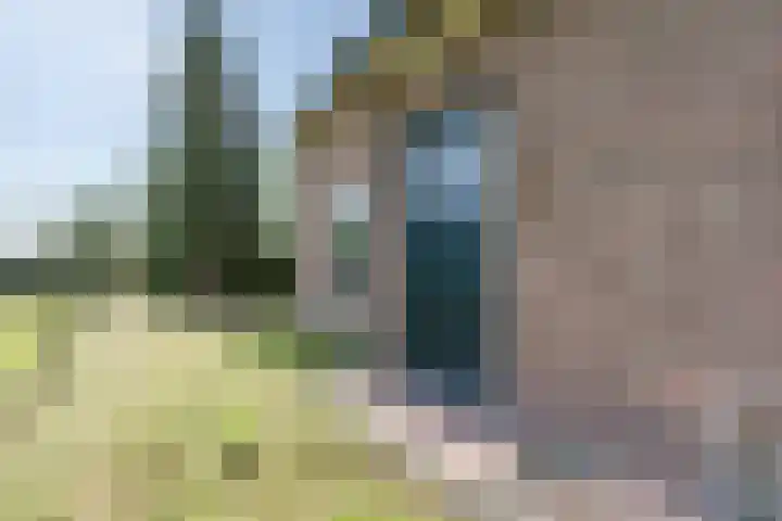 Papenstraat 17 Epe thumbnail 7