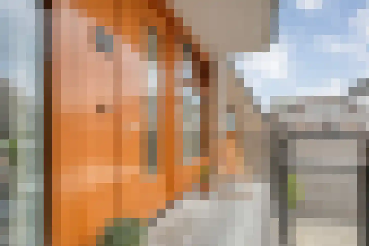 Papenstraat 26 Zwolle thumbnail 10