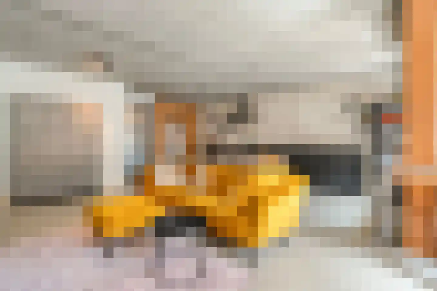 Papenstraat 26 Zwolle thumbnail 16