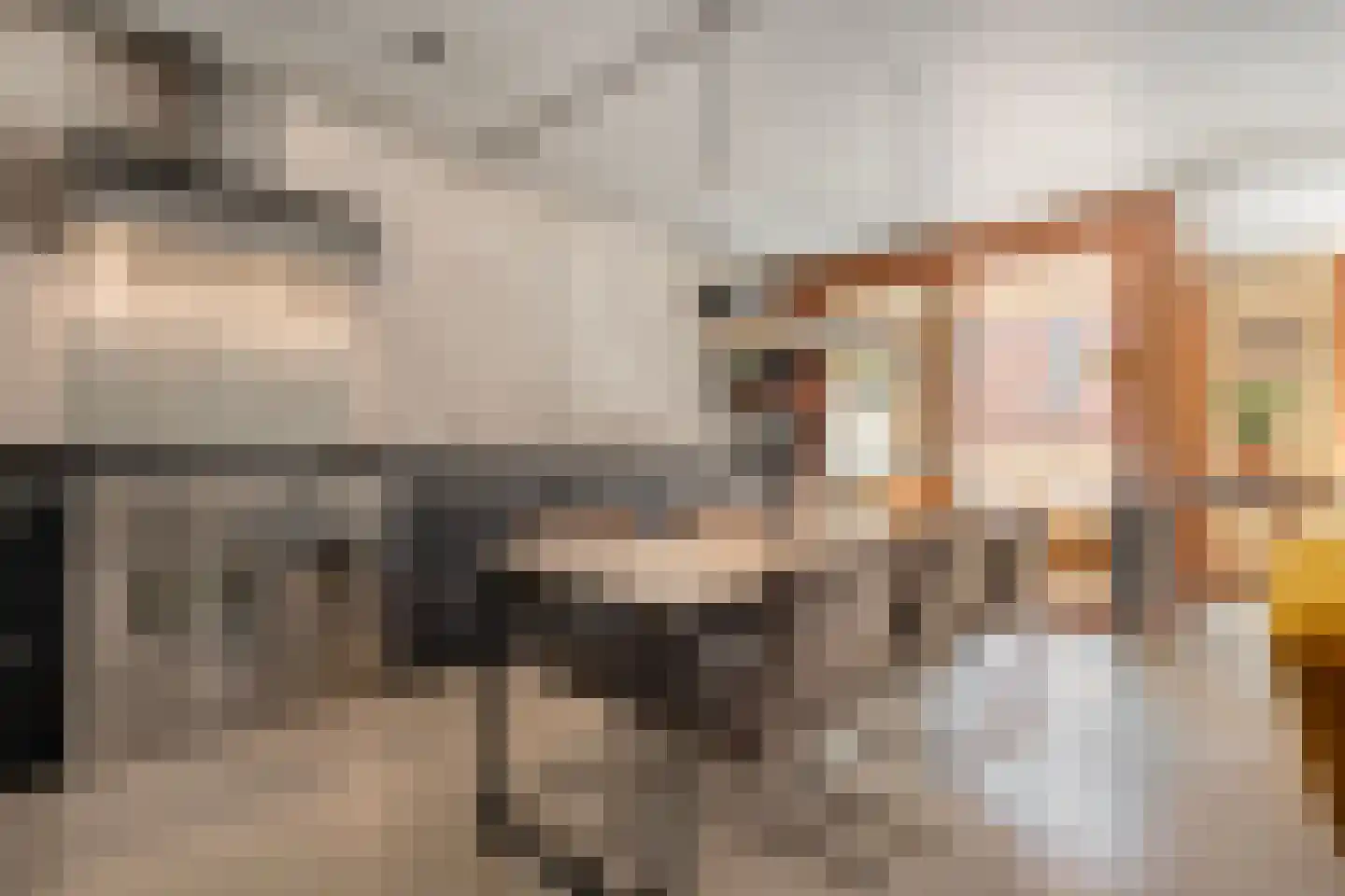 Papenstraat 26 Zwolle thumbnail 17