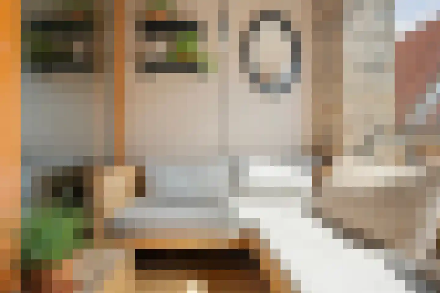 Papenstraat 26 Zwolle thumbnail 22