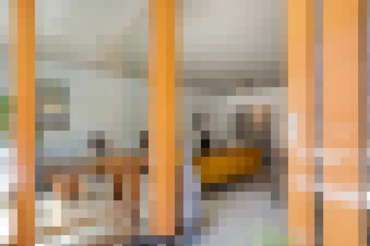 Papenstraat 26 Zwolle thumbnail 24