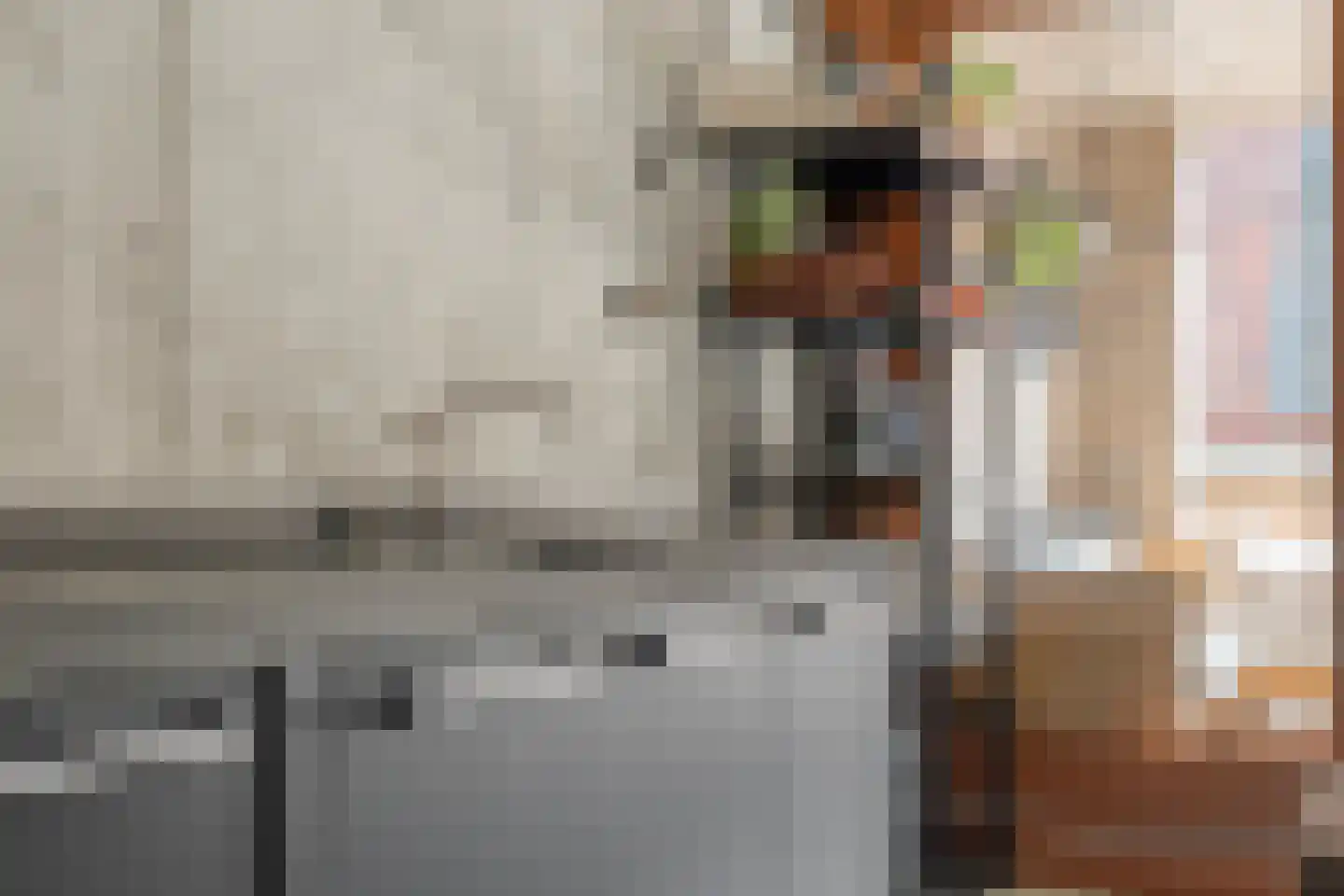 Papenstraat 26 Zwolle thumbnail 27