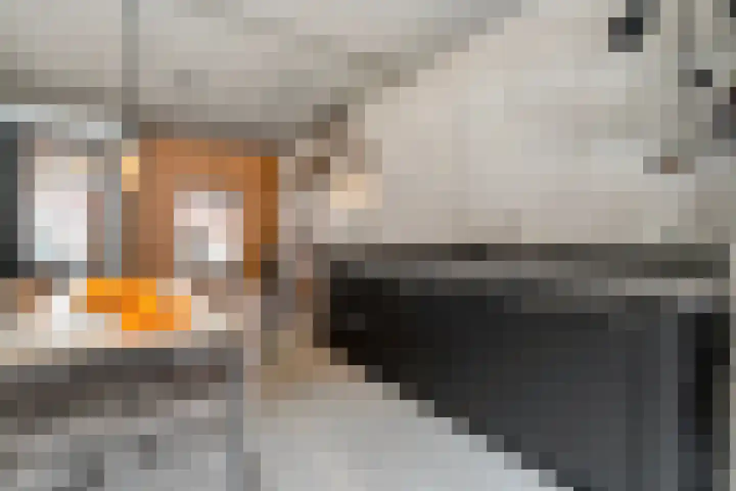 Papenstraat 26 Zwolle thumbnail 28