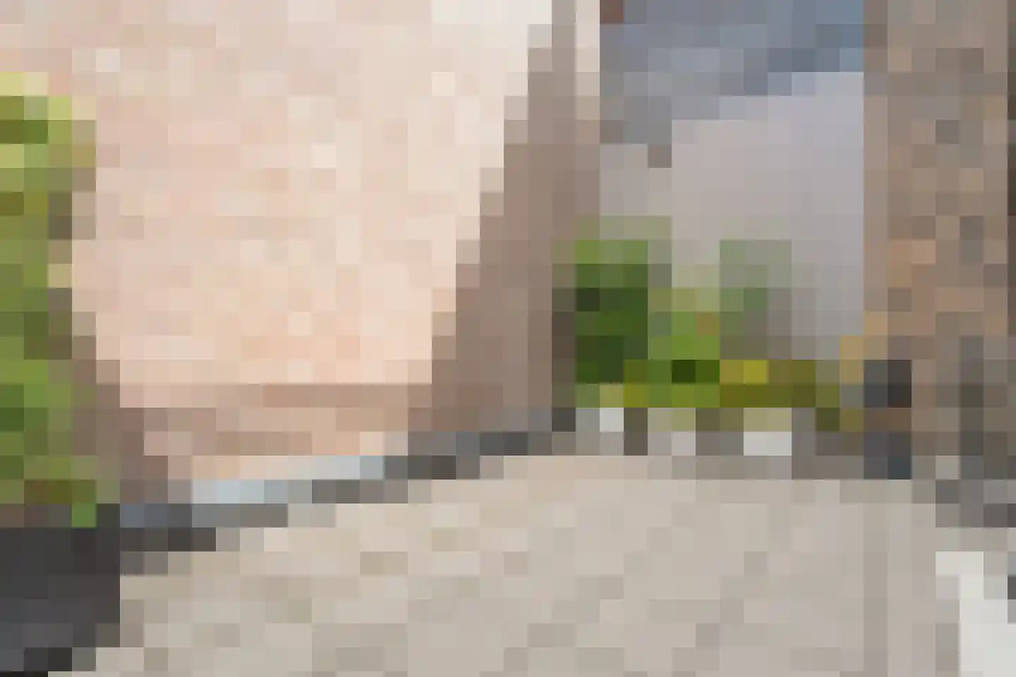 Papenstraat 26 Zwolle thumbnail 41