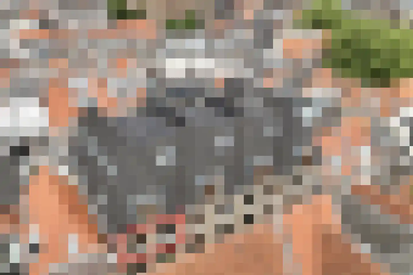 Papenstraat 26 Zwolle thumbnail 44