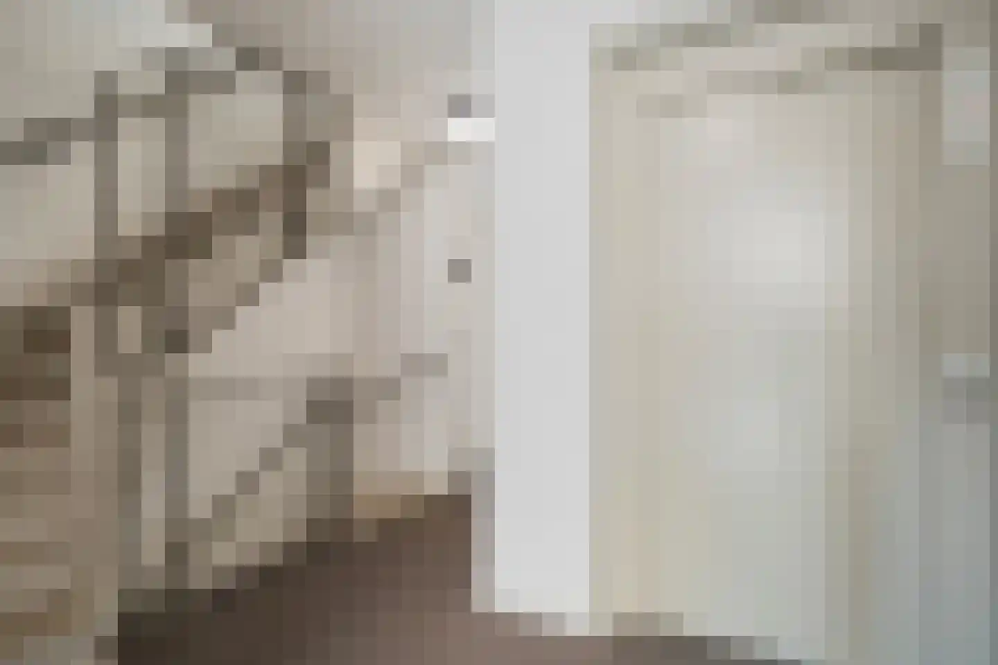 Papenstraat 26 Zwolle thumbnail 9