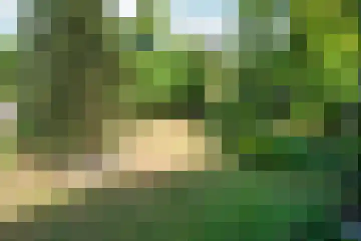 Papenstraat 34 Bemmel thumbnail 40