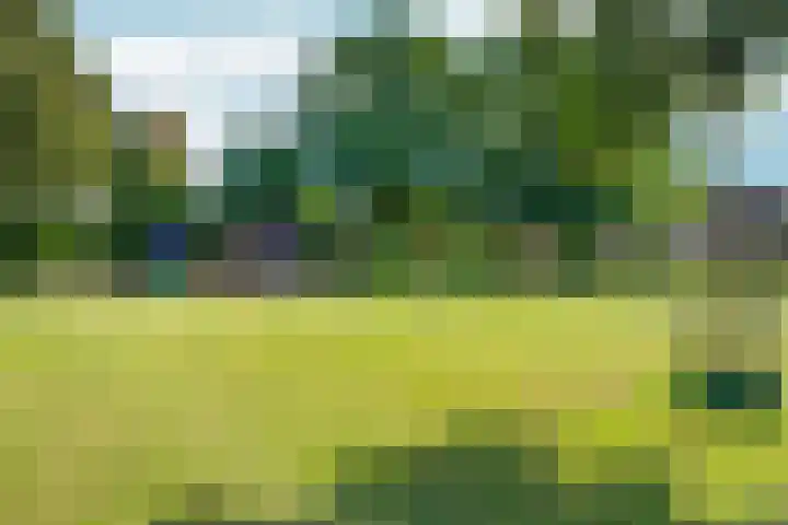 Papenstraat 34 Bemmel thumbnail 52