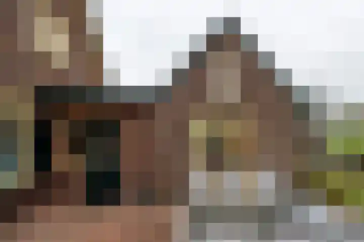 Papenstraat 38 Epe thumbnail 17