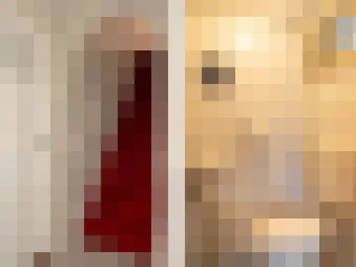 Papenstraat 38 Epe thumbnail 26
