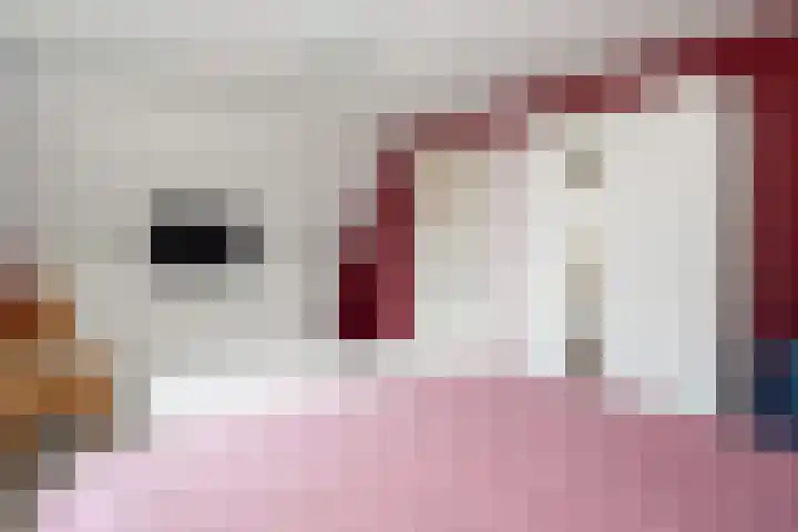 Papenstraat 38 Epe thumbnail 28