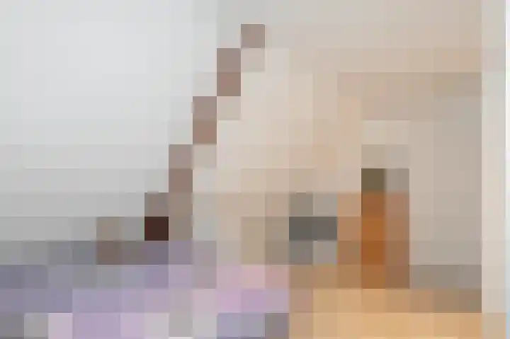 Papenstraat 38 Epe thumbnail 30