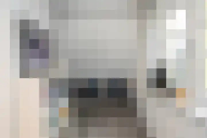 Papenstraat 38 Epe thumbnail 32