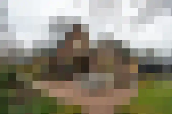 Papenstraat 38 Epe thumbnail 35