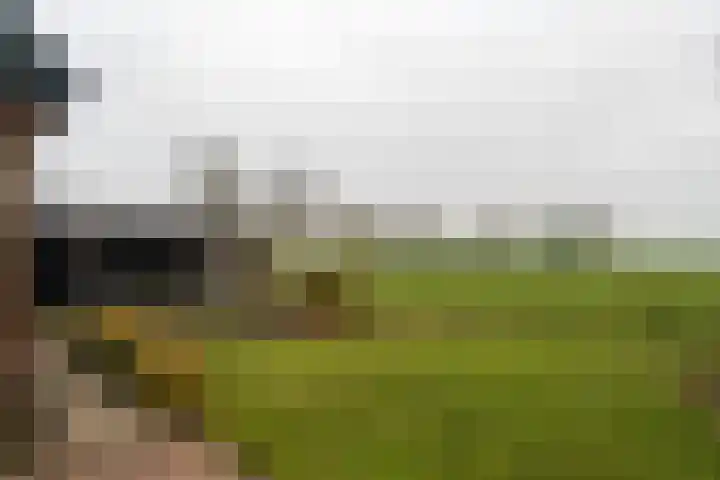 Papenstraat 38 Epe thumbnail 36