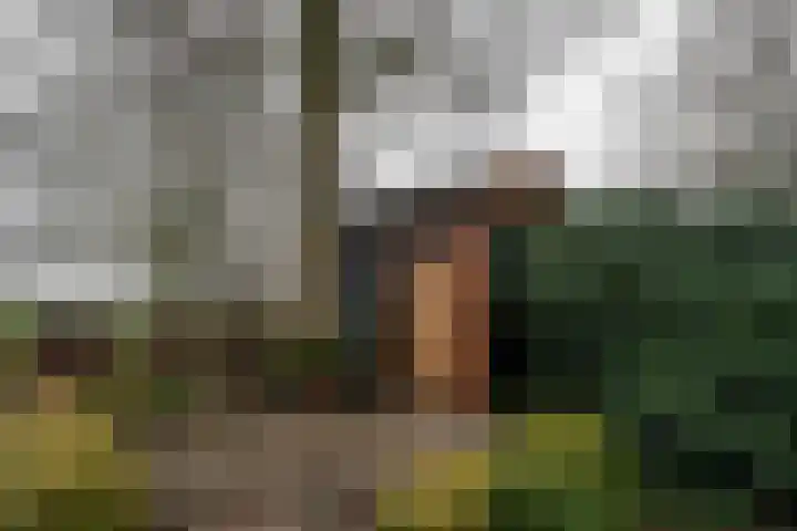 Papenstraat 38 Epe thumbnail 38