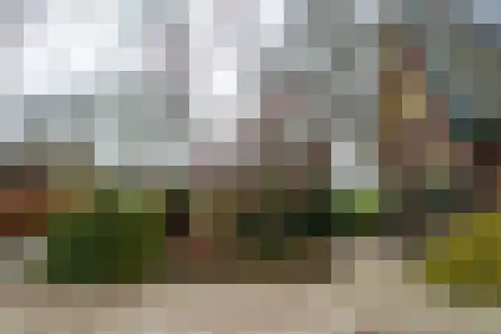 Papenstraat 38 Epe thumbnail 4