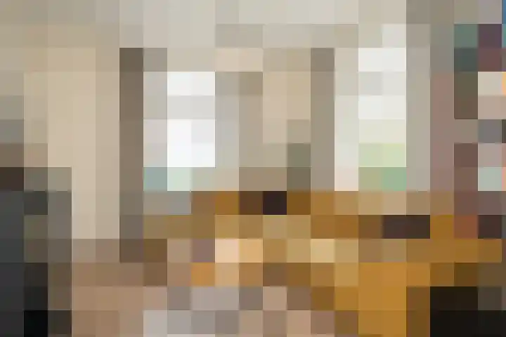 Papenstraat 38 Epe thumbnail 9