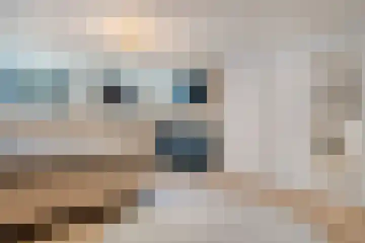 Papenstraat 40 Zwolle thumbnail 18