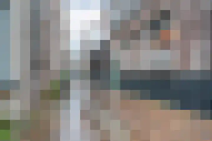 Papenstraat 40 Zwolle thumbnail 27