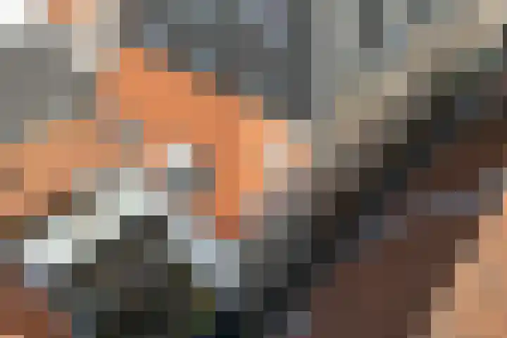 Papenstraat 40 Zwolle thumbnail 32