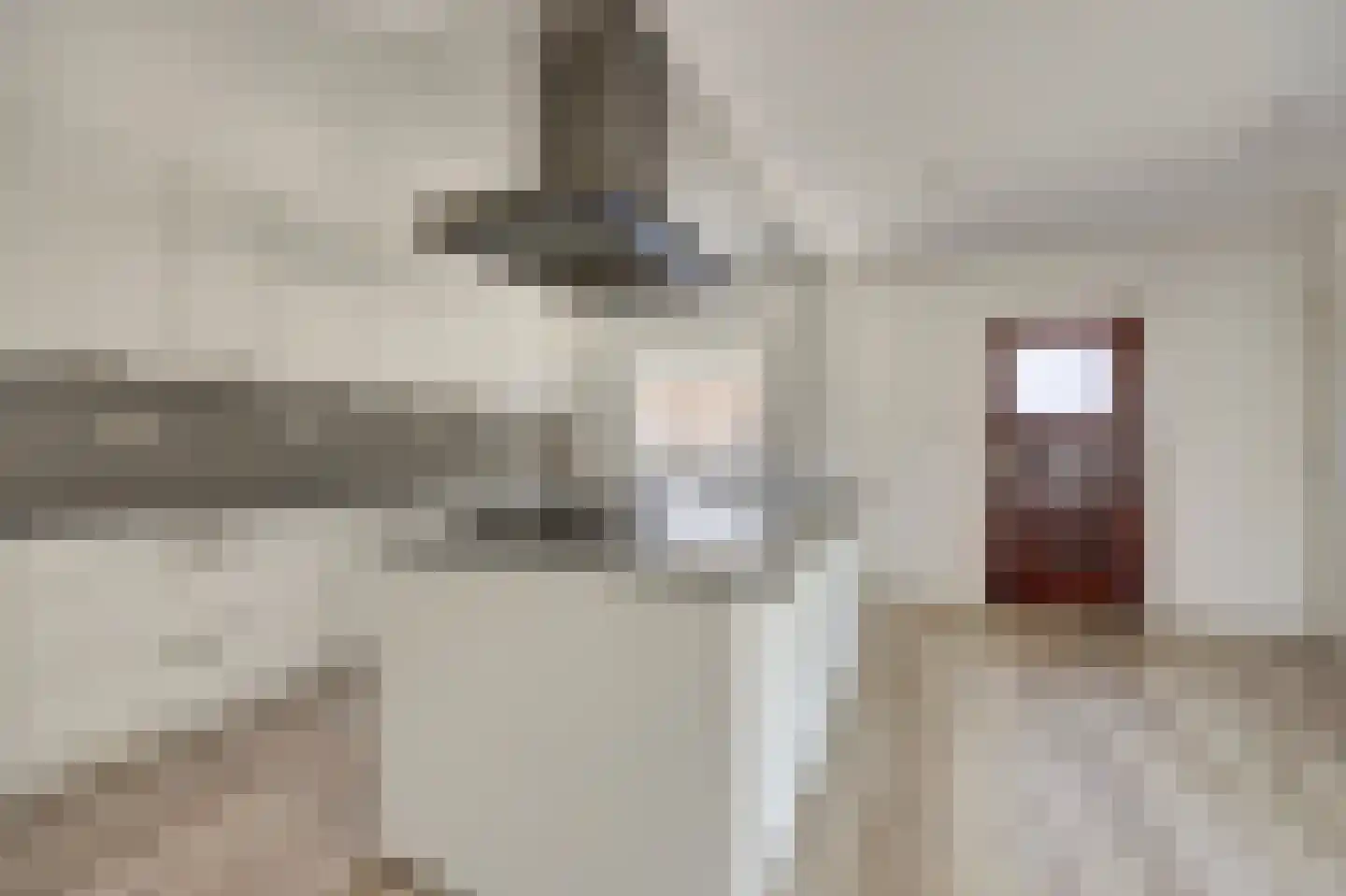 Papenstraat 43 Bemmel thumbnail 20