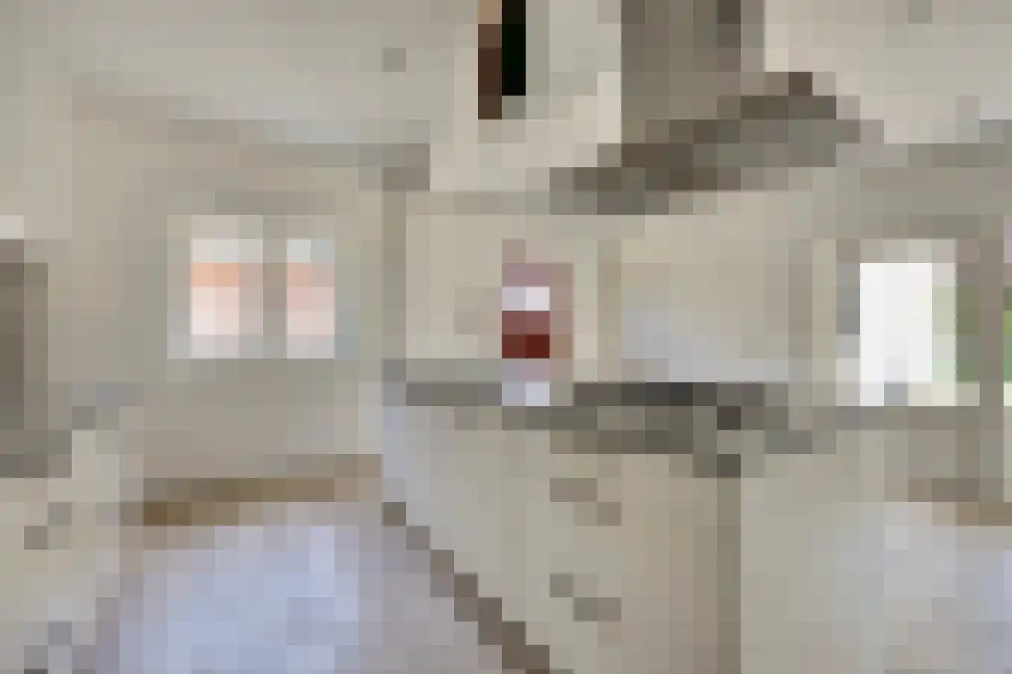 Papenstraat 43 Bemmel thumbnail 21