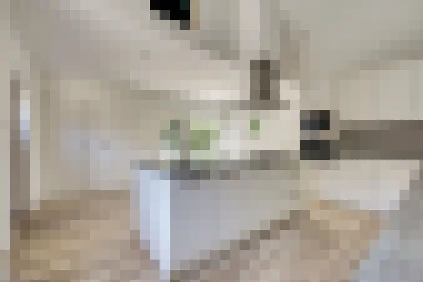 Papenstraat 43 Bemmel thumbnail 22