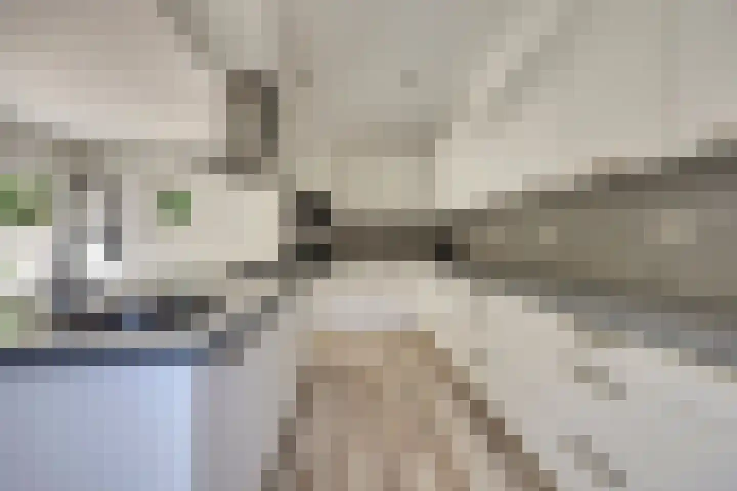 Papenstraat 43 Bemmel thumbnail 23