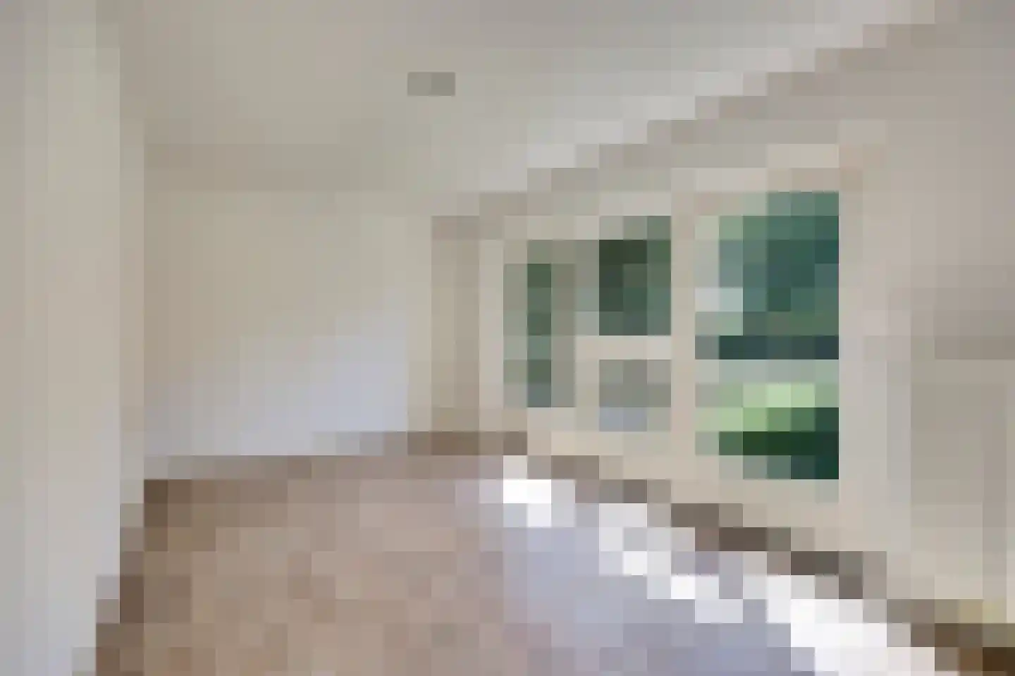 Papenstraat 43 Bemmel thumbnail 29