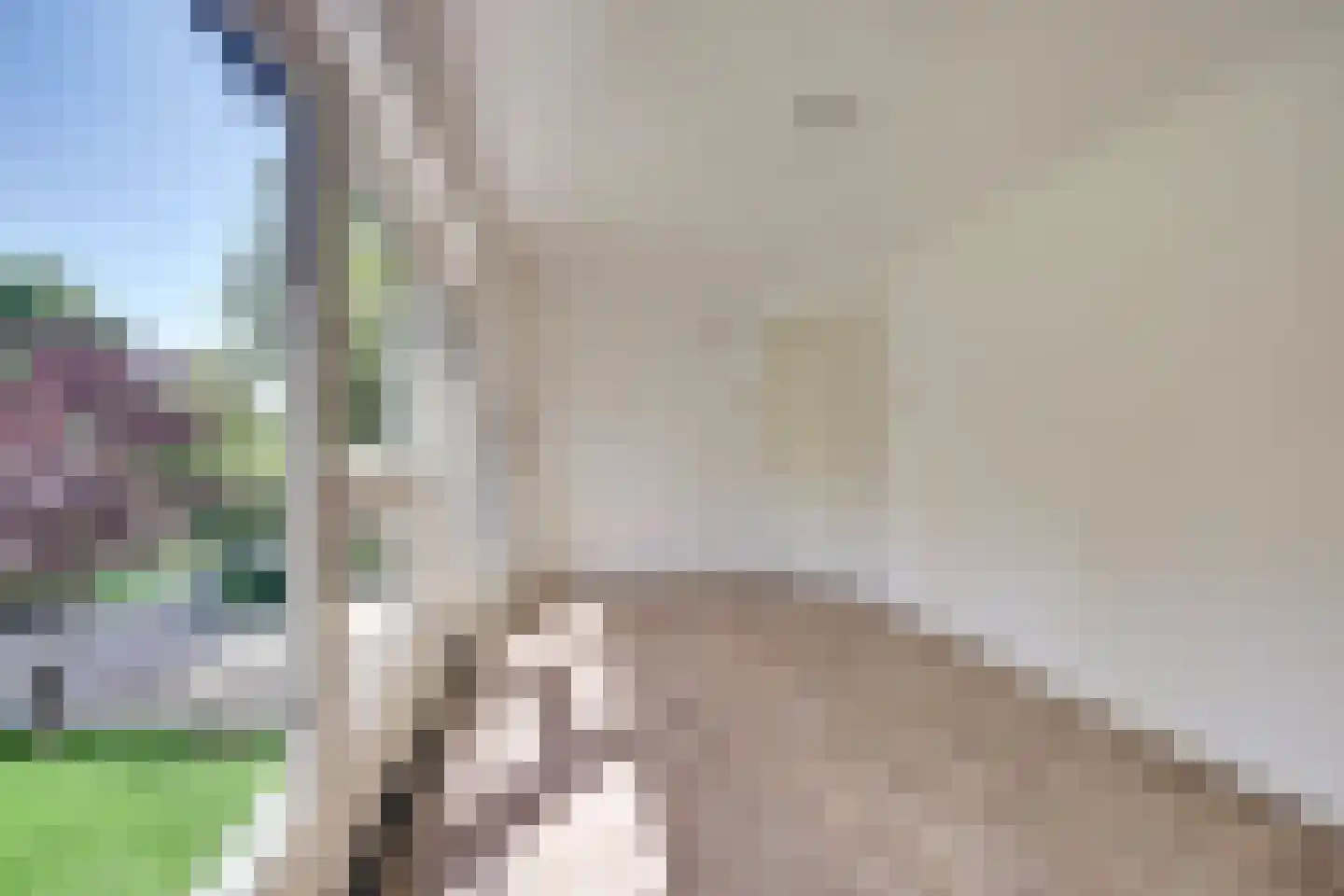Papenstraat 43 Bemmel thumbnail 31