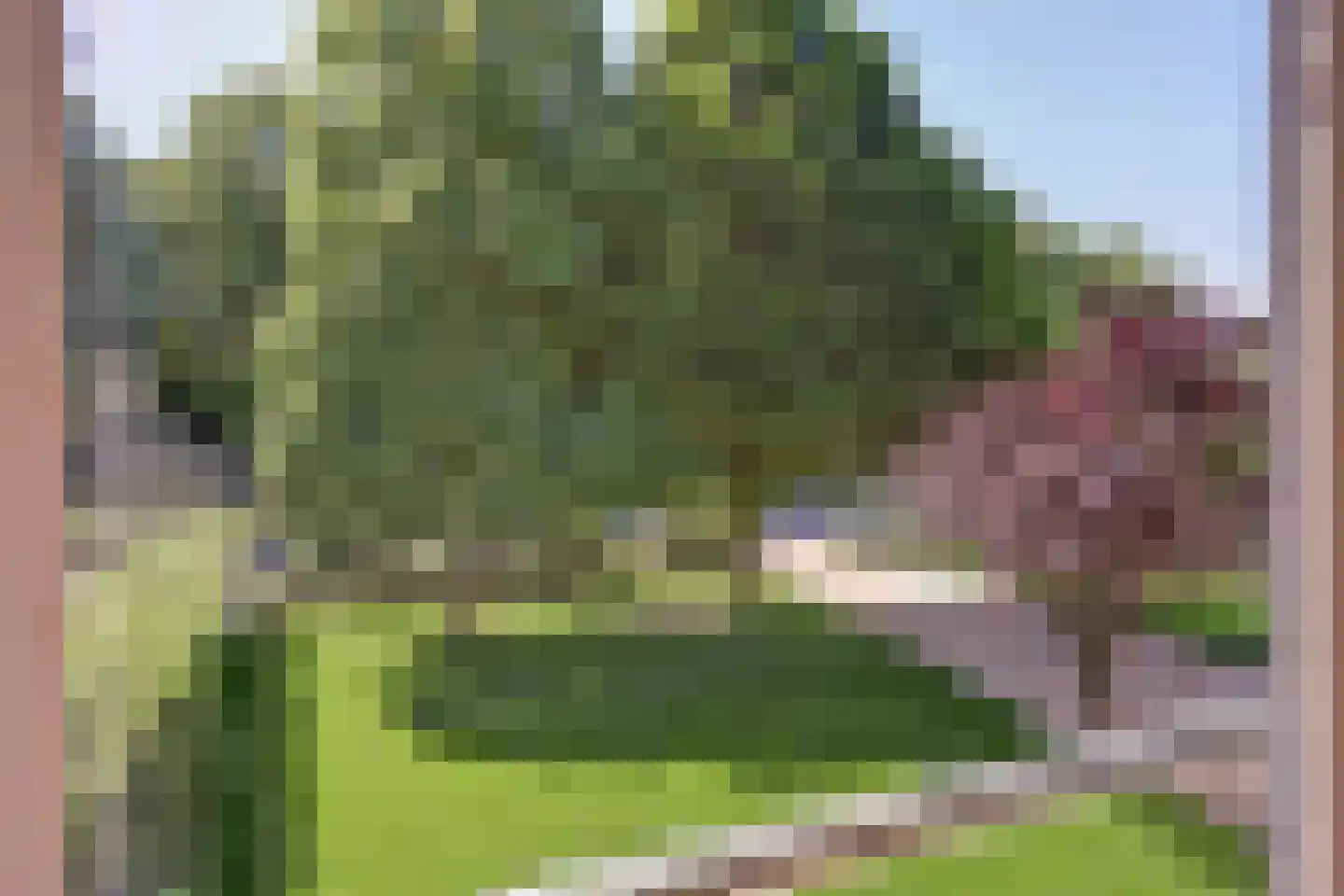 Papenstraat 43 Bemmel thumbnail 32