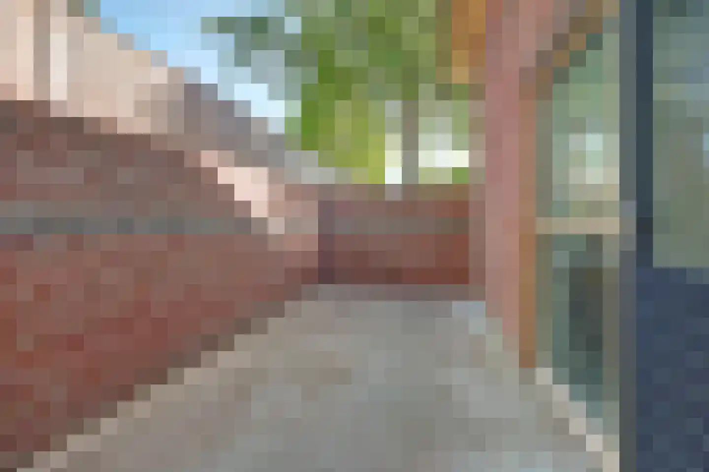 Papenstraat 43 Bemmel thumbnail 54