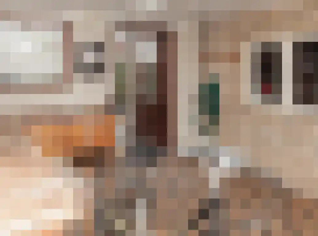 Papenstraat 5 Etten-Leur thumbnail 41