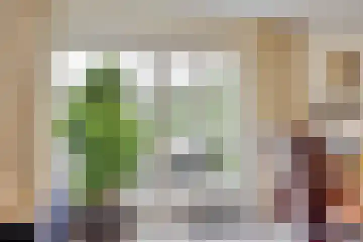 Papenstraat 7 Bemmel thumbnail 19