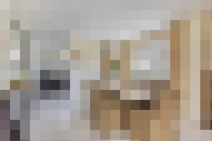 Papenstraat 7 Bemmel thumbnail 20