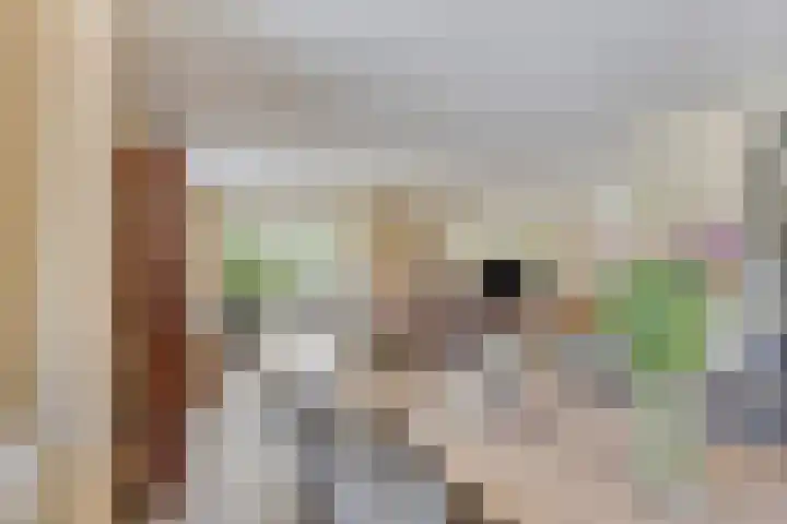 Papenstraat 7 Bemmel thumbnail 21
