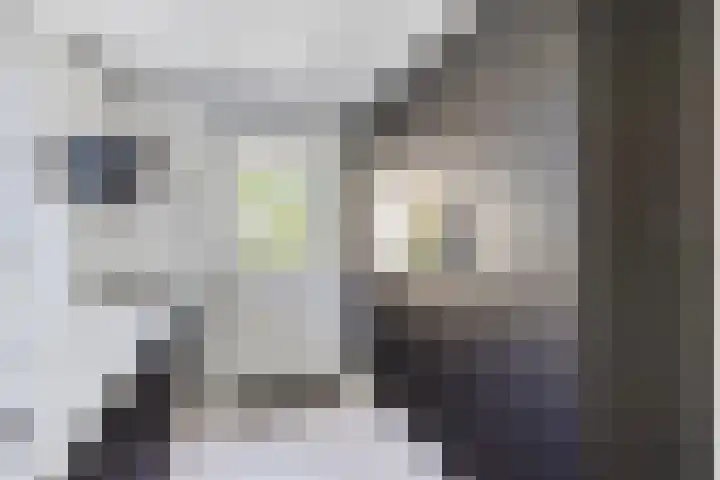 Papenstraat 7 Bemmel thumbnail 25