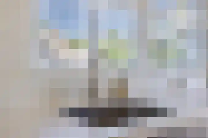 Papenstraat 7 Bemmel thumbnail 27