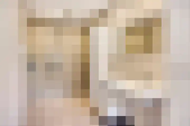 Papenstraat 7 Bemmel thumbnail 31