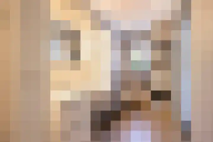 Papenstraat 7 Bemmel thumbnail 32
