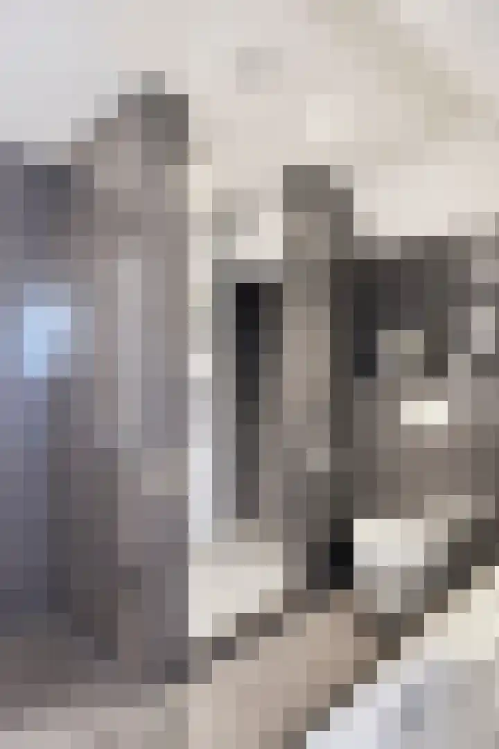 Papenstraat 7 Bemmel thumbnail 37