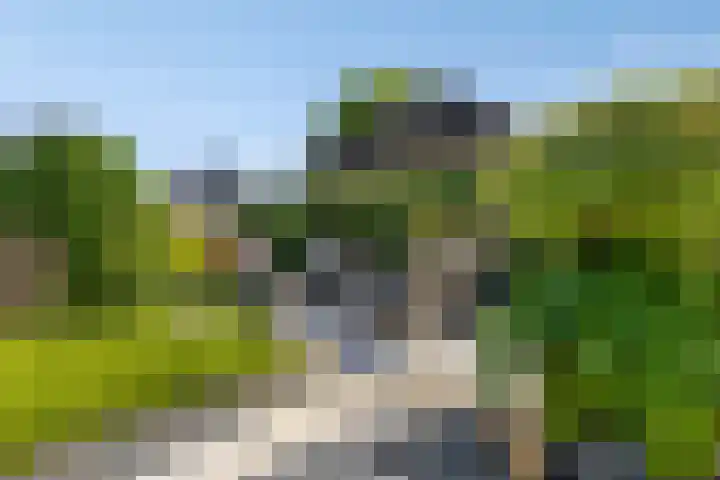 Papenstraat 7 Bemmel thumbnail 47