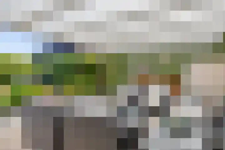 Papenstraat 7 Bemmel thumbnail 52