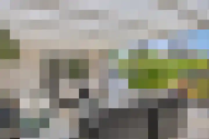 Papenstraat 7 Bemmel thumbnail 53