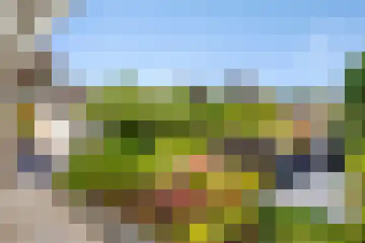 Papenstraat 7 Bemmel thumbnail 54