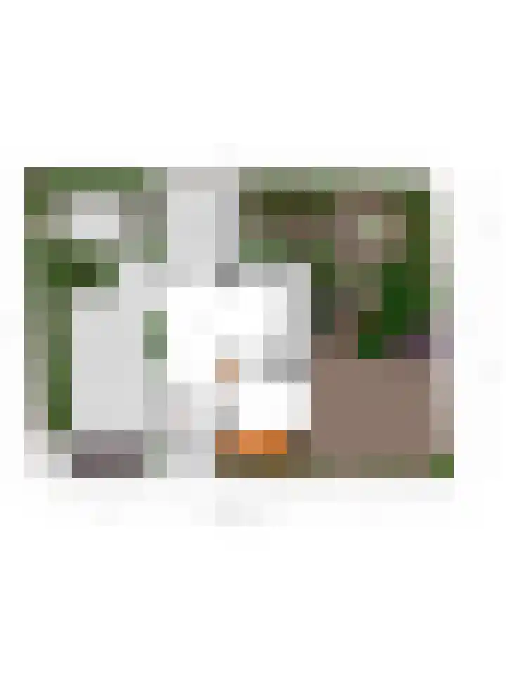 Papenstraat 7 Bemmel thumbnail 55