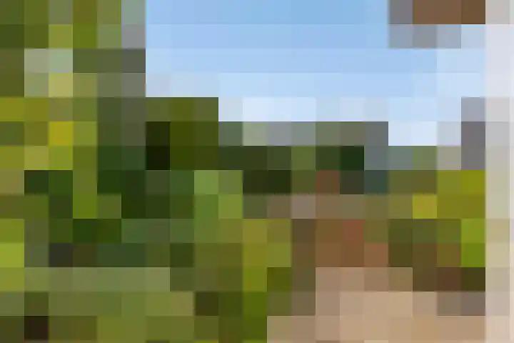 Papenstraat 7 Bemmel thumbnail 6